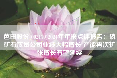 芭田股份(002170)2024年年报点评报告：磷矿石放量公司业绩大幅增长 产能再次扩张增长有望延续