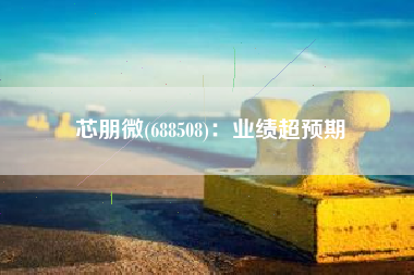 芯朋微(688508)：业绩超预期
