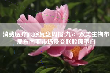 消费医疗跟踪复盘周报(九)：双美生物布局东南亚市场及交联胶原蛋白