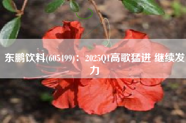 东鹏饮料(605499)：2025Q1高歌猛进 继续发力