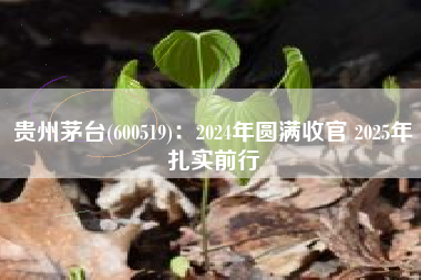 贵州茅台(600519)：2024年圆满收官 2025年扎实前行