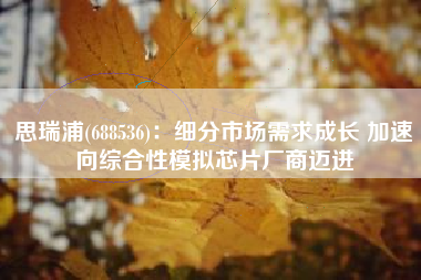 思瑞浦(688536)：细分市场需求成长 加速向综合性模拟芯片厂商迈进