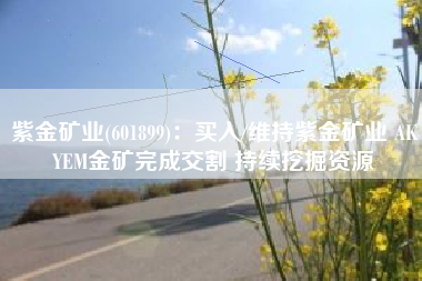 紫金矿业(601899)：买入/维持紫金矿业 AKYEM金矿完成交割 持续挖掘资源