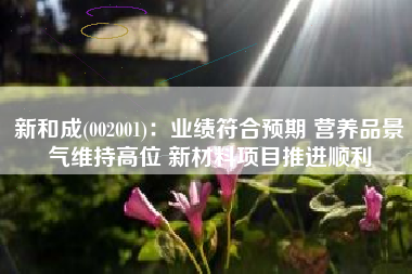 新和成(002001)：业绩符合预期 营养品景气维持高位 新材料项目推进顺利