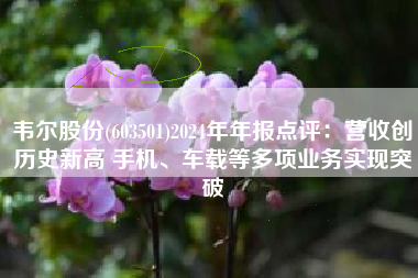 韦尔股份(603501)2024年年报点评：营收创历史新高 手机、车载等多项业务实现突破