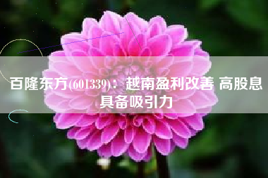百隆东方(601339)：越南盈利改善 高股息具备吸引力