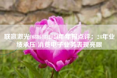 联赢激光(688518)2024年年报点评：24年业绩承压 消费电子业务表现亮眼