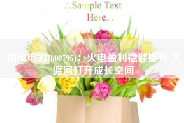 国电电力(600795)：火电盈利稳健提升 大渡河打开成长空间