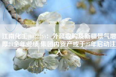 江南化工(002226)：外延收购及新疆景气增厚24全年业绩 集团内资产或于25年启动注入