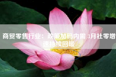 商贸零售行业：政策加码内需 3月社零增速持续回暖