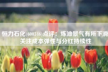 恒力石化(600346)点评：炼油景气有所下滑 关注成本弹性与分红持续性