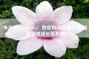 韦尔股份(603501)：营收利润高增长 把握多领域成长新机遇