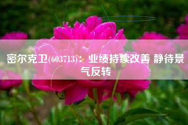 密尔克卫(603713)：业绩持续改善 静待景气反转