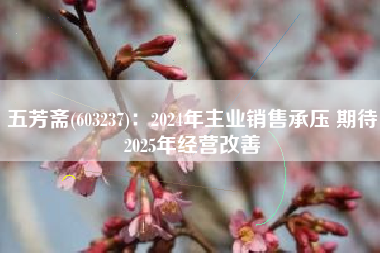 五芳斋(603237)：2024年主业销售承压 期待2025年经营改善