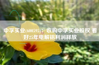 中孚实业(600595)：收购中孚实业股权 看好25年电解铝利润释放