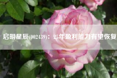 启明星辰(002439)：25年盈利能力有望恢复