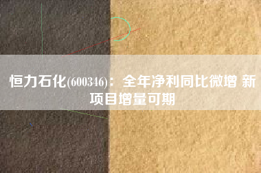 恒力石化(600346)：全年净利同比微增 新项目增量可期