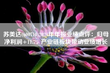 苏美达(600710)2024年年报业绩点评：归母净利润+11.7% 产业链板块带动业绩增长