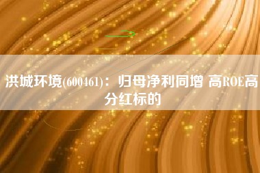 洪城环境(600461)：归母净利同增 高ROE高分红标的