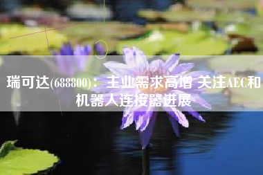 瑞可达(688800)：主业需求高增 关注AEC和机器人连接器进展
