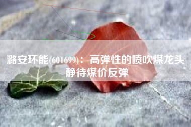 潞安环能(601699)：高弹性的喷吹煤龙头 静待煤价反弹
