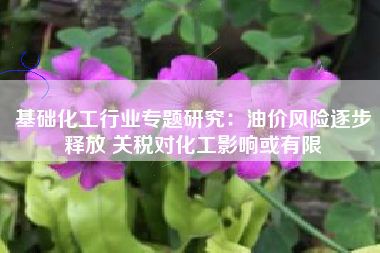 基础化工行业专题研究：油价风险逐步释放 关税对化工影响或有限
