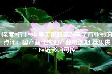 深度*行业*中美关税政策对电子行业影响点评：国产替代或迎产业机遇期 苹果供应链影响可控