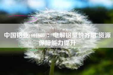 中国铝业(601600)：电解铝量价齐增 资源保障能力提升