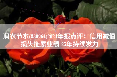 润农节水(830964)2024年报点评：信用减值损失拖累业绩 25年持续发力