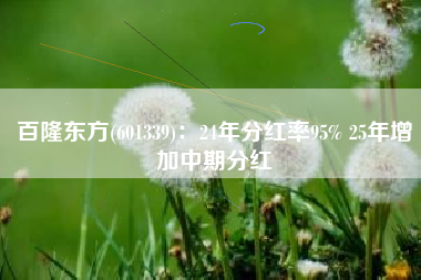 百隆东方(601339)：24年分红率95% 25年增加中期分红