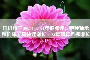 国机精工(002046)2024年报点评：特种轴承和机床工具快速增长 2025年预算目标增长23.12%