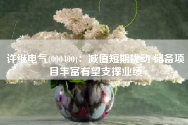 许继电气(000400)：减值短期扰动 储备项目丰富有望支撑业绩