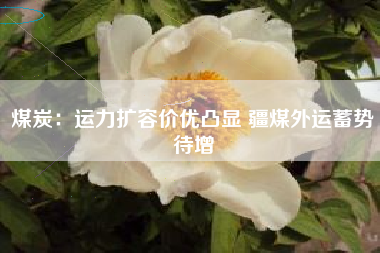 煤炭：运力扩容价优凸显 疆煤外运蓄势待增