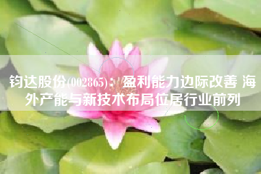 钧达股份(002865)：盈利能力边际改善 海外产能与新技术布局位居行业前列