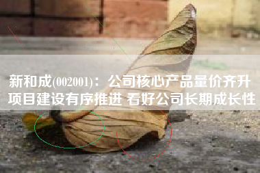 新和成(002001)：公司核心产品量价齐升 项目建设有序推进 看好公司长期成长性