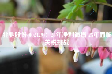 兆驰股份(002429)：24年净利微增 25年面临关税挑战