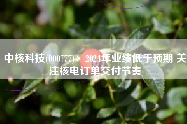中核科技(000777)：2024年业绩低于预期 关注核电订单交付节奏