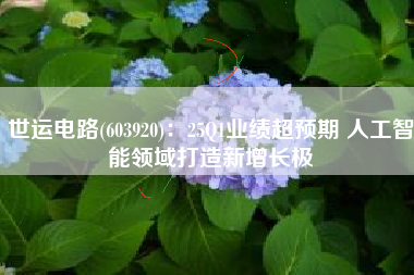 世运电路(603920)：25Q1业绩超预期 人工智能领域打造新增长极
