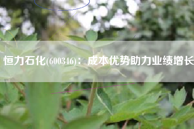 恒力石化(600346)：成本优势助力业绩增长