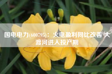 国电电力(600795)：火电盈利同比改善 大渡河进入投产期