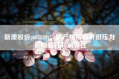 新澳股份(603889)：扩产短期有折旧压力 长期看好利润弹性