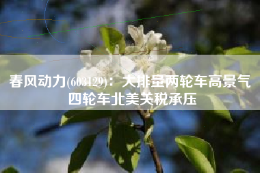 春风动力(603129)：大排量两轮车高景气 四轮车北美关税承压