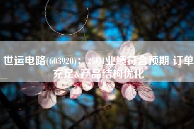 世运电路(603920)：25Q1业绩符合预期 订单充足&产品结构优化