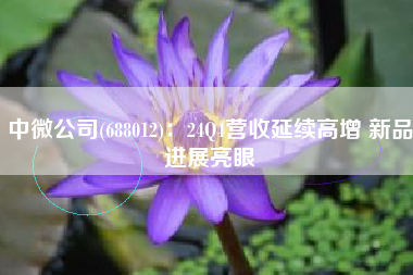 中微公司(688012)：24Q4营收延续高增 新品进展亮眼