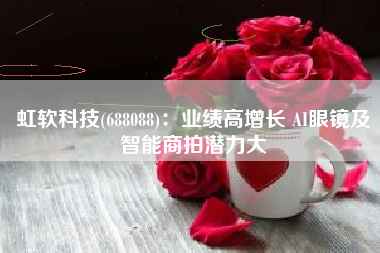 虹软科技(688088)：业绩高增长 AI眼镜及智能商拍潜力大