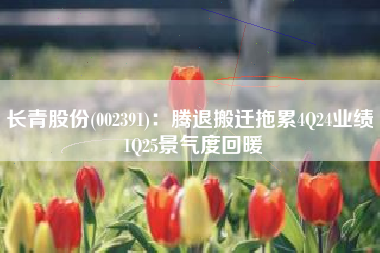 长青股份(002391)：腾退搬迁拖累4Q24业绩 1Q25景气度回暖