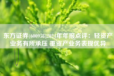 东方证券(600958)2024年年报点评：轻资产业务有所承压 重资产业务表现优异