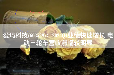 爱玛科技(603529)：2024Q4业绩快速增长 电动三轮车营收涨幅较明显