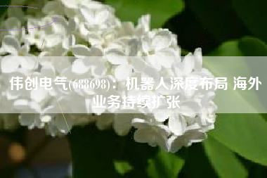 伟创电气(688698)：机器人深度布局 海外业务持续扩张