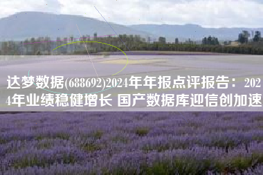 达梦数据(688692)2024年年报点评报告：2024年业绩稳健增长 国产数据库迎信创加速